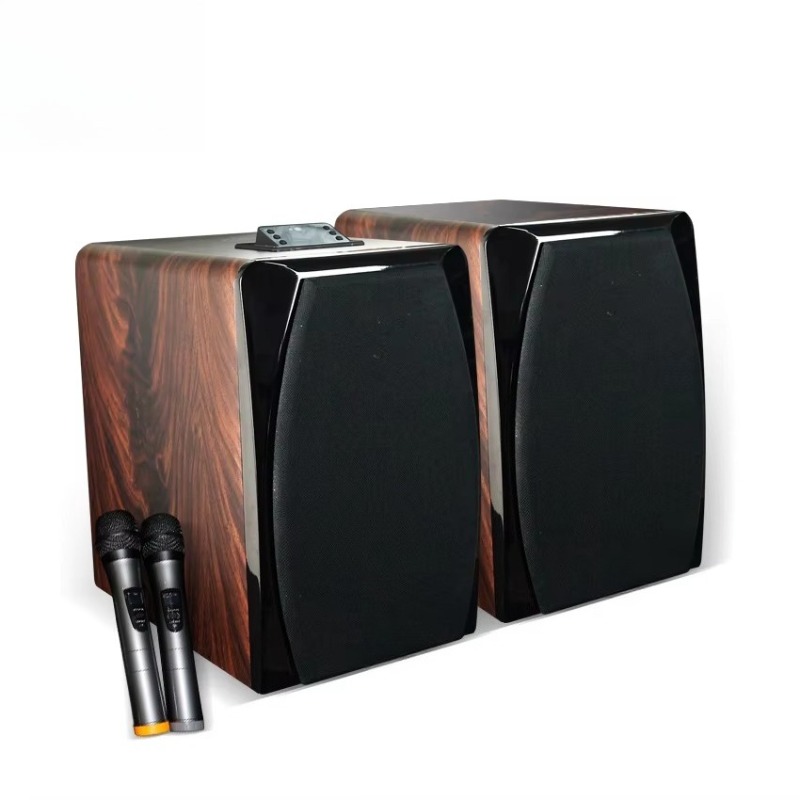 High Performance Active Karaok - Woofer ulasan dan harga