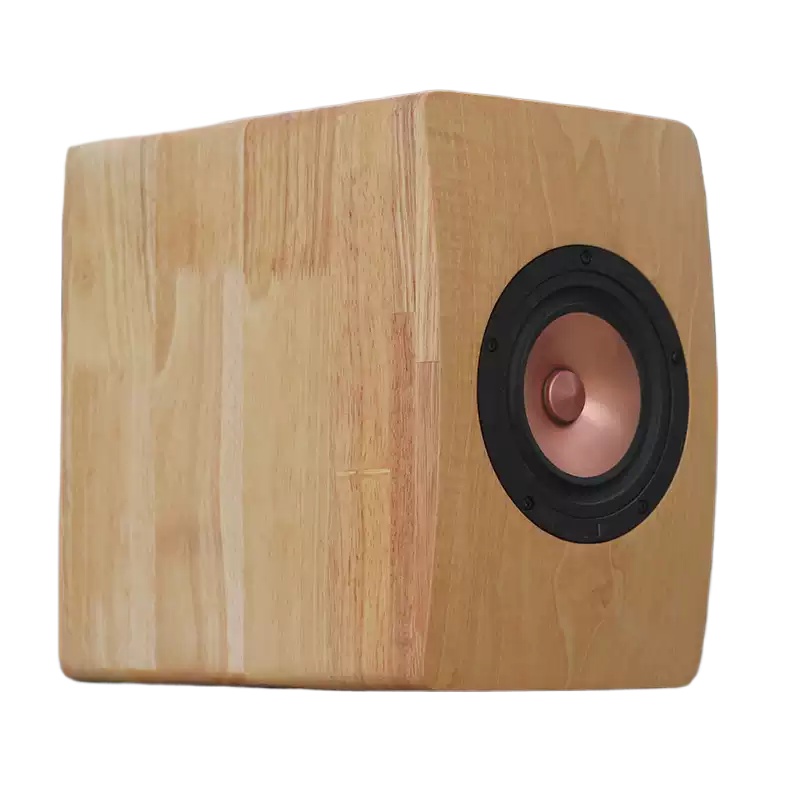 DZ‑06 5.25‑Inch Coaxial Speake - Speaker Driver ulasan dan harga